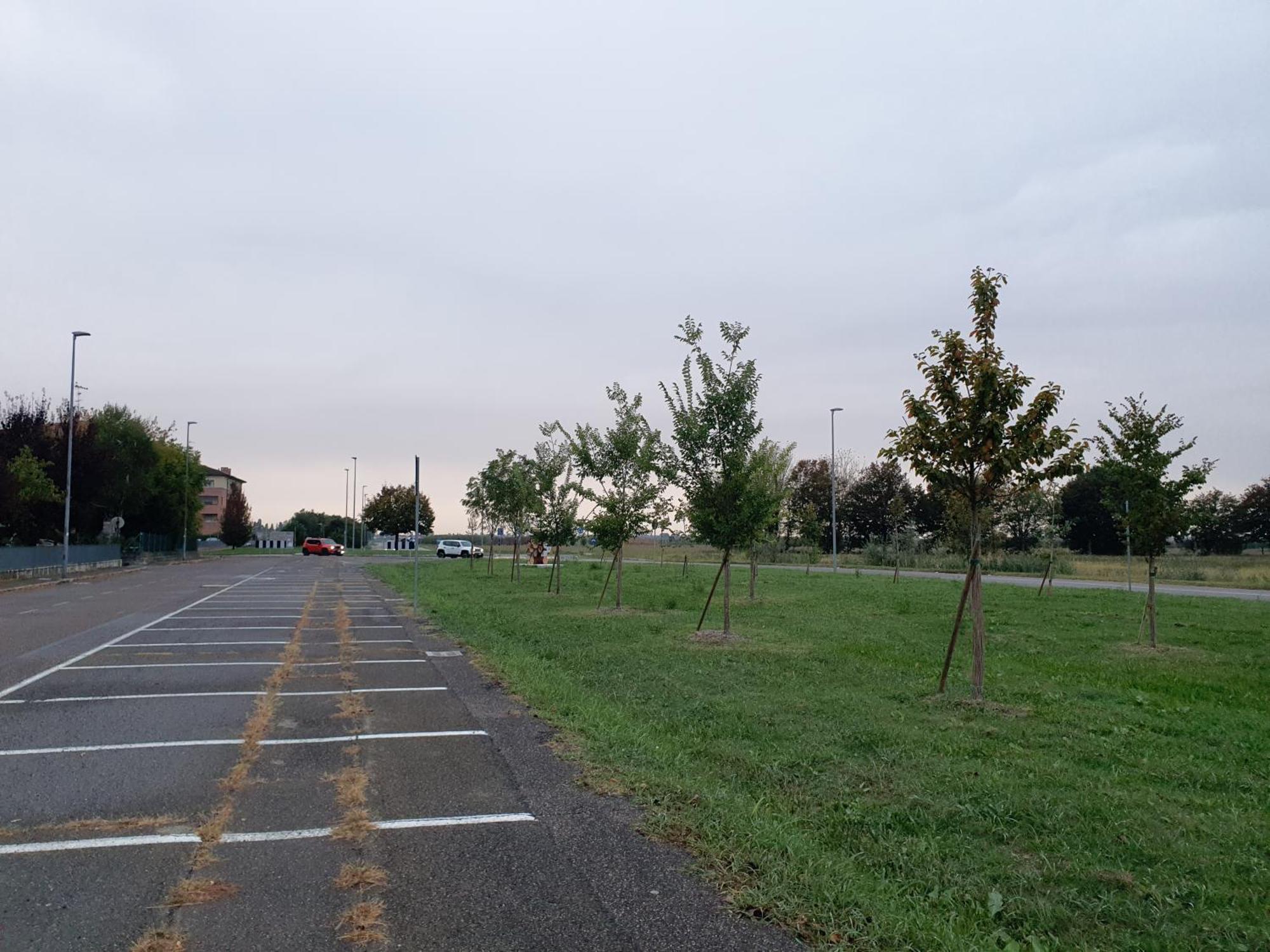 Appartamento Divino Tramonto Altedo Экстерьер фото