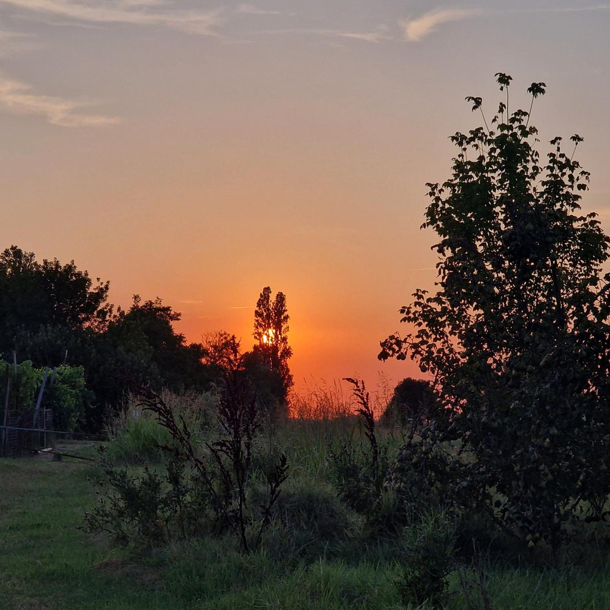 Appartamento Divino Tramonto Altedo Экстерьер фото