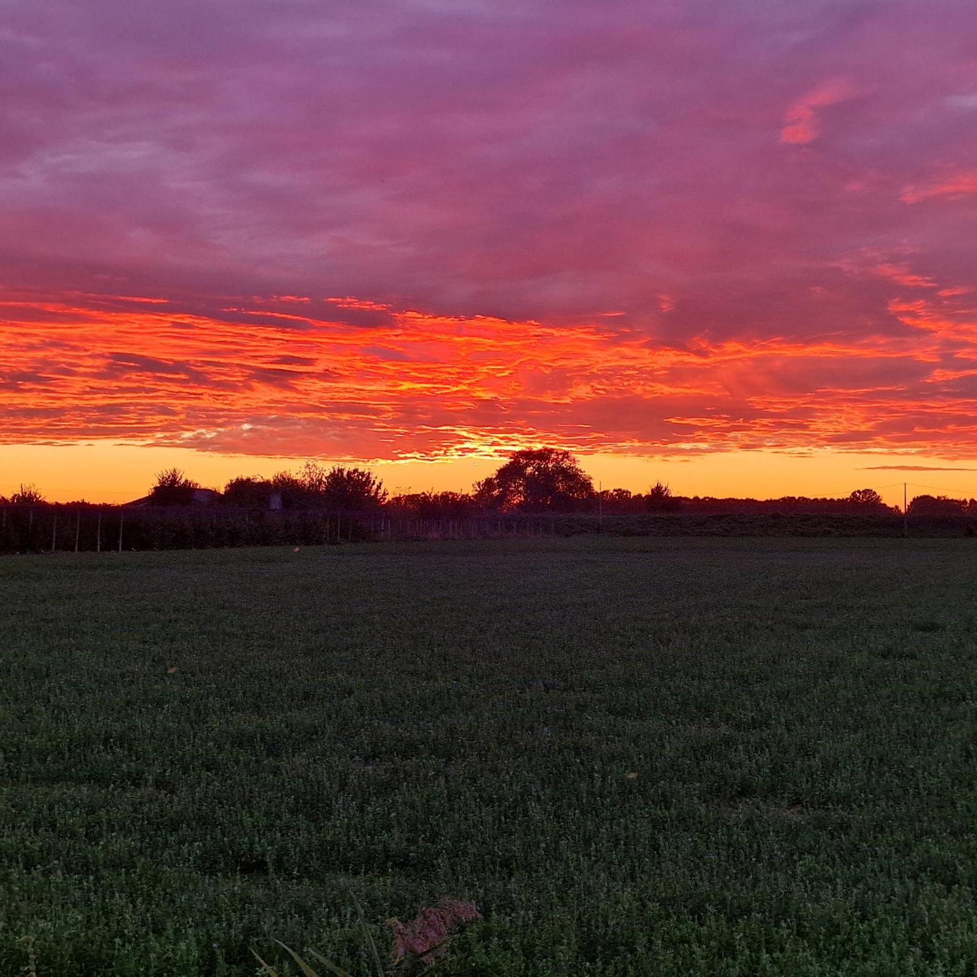 Appartamento Divino Tramonto Altedo Экстерьер фото